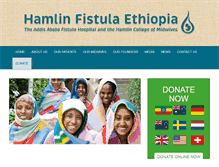 Tablet Screenshot of hamlinfistula.org